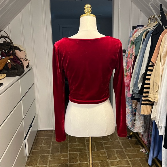 Elodie Velvet Top. NWOT - Picture 3 of 4